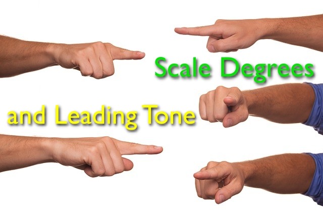 scale degrees